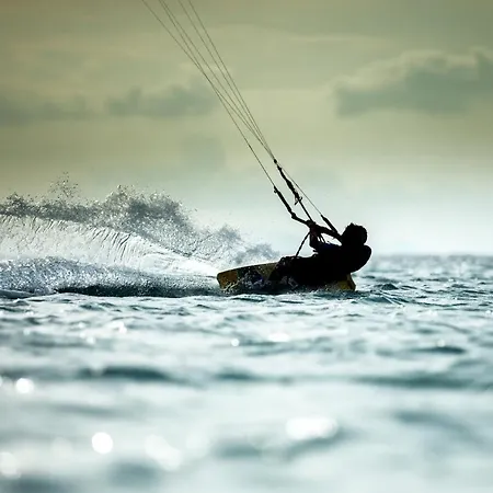 Zee & Zo * Zandvoort