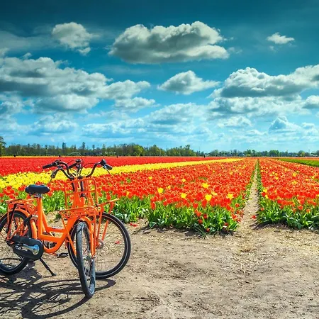 Διαμέρισμα Zee & Zo